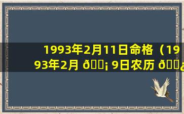 1993年2月11日命格（1993年2月 🐡 9日农历 🌿 是什么时候）